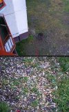 Sąsiad pali na balkonie