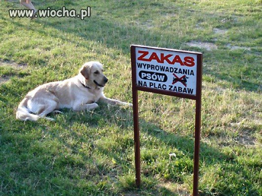 ,,ZAKAS"!