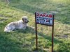 ,,ZAKAS"!