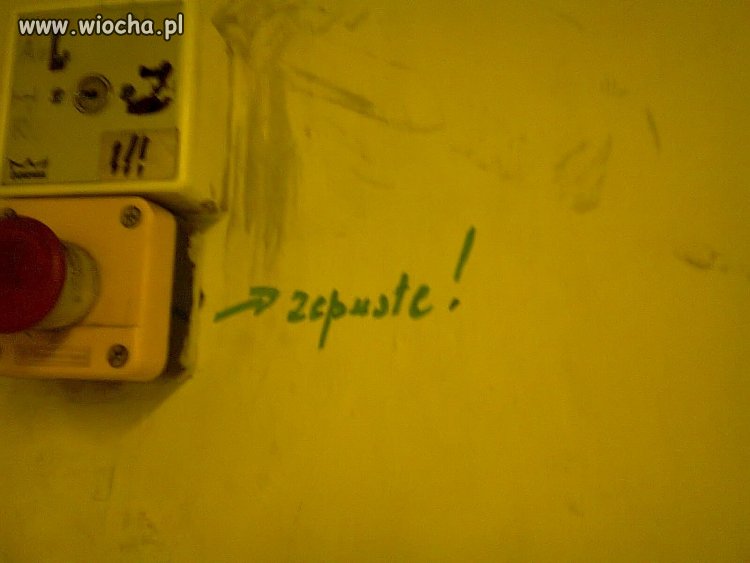 Zepuste