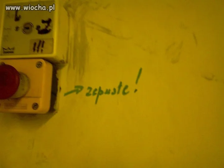 Zepuste