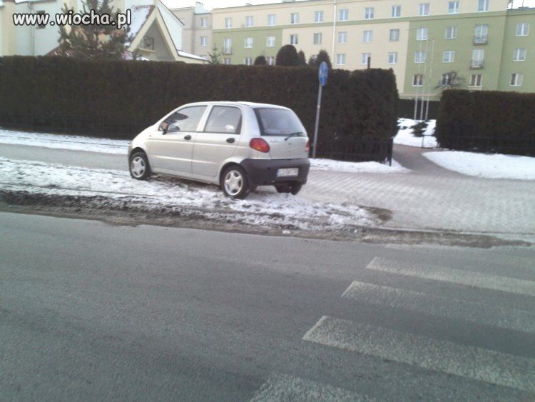 Mistrz Parkowania 