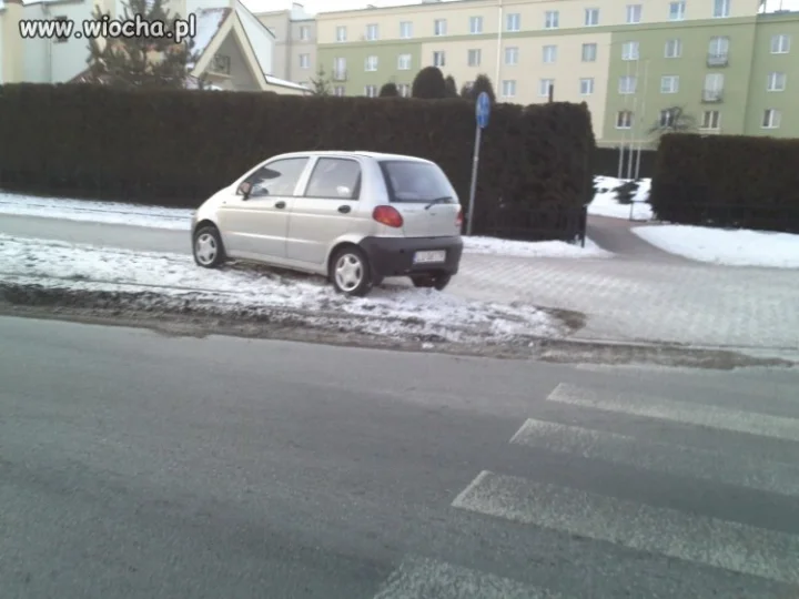 Mistrz Parkowania 