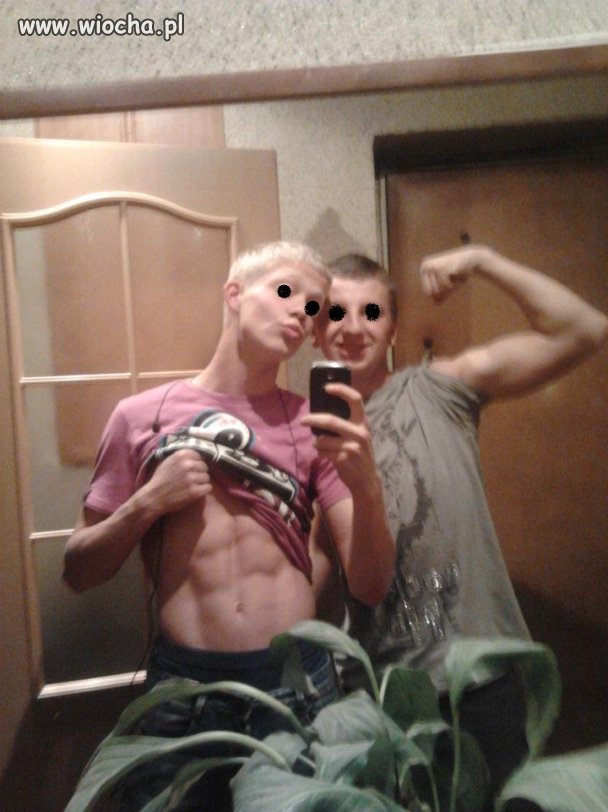Kolejne z serii dzióbek