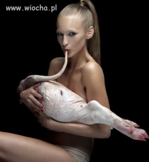 Znalezione w necie... 