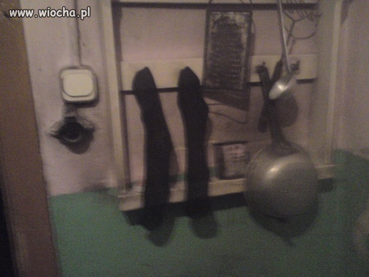 Niezbędnik skrzypka