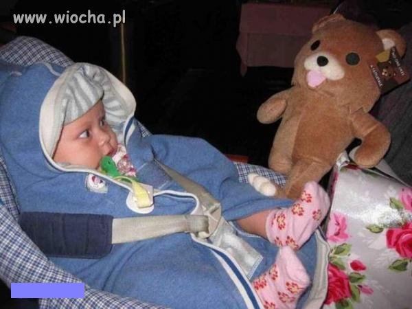 Pedobear, idealny prezent dla malucha