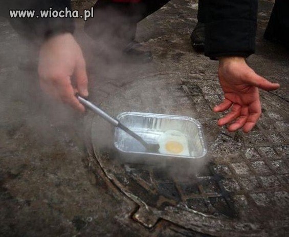Śmierdzi z kanalizy to i zbuki będą
