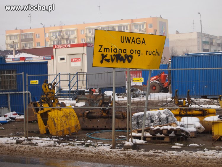 Polska Głupota