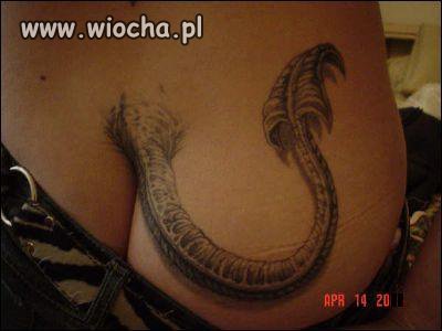 GŁupota ludzka