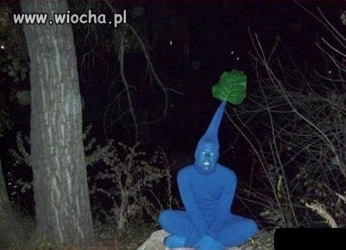 "Człowiek z liściem na głowie"
