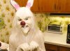 Playboy bunny