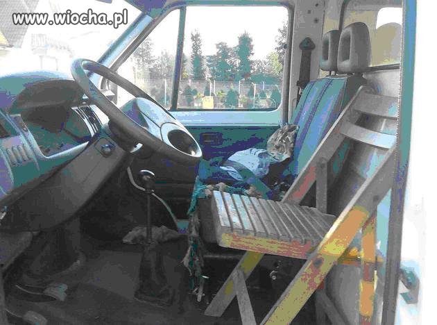 Czy ten "fotel"  ma aby homologację?