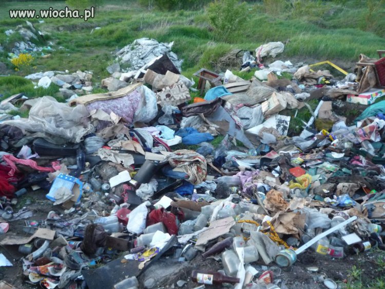 Tak zbeszcześcić przyrodę
