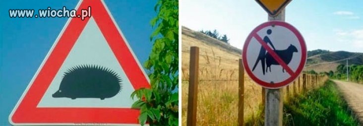 Uwaga na Jeże 