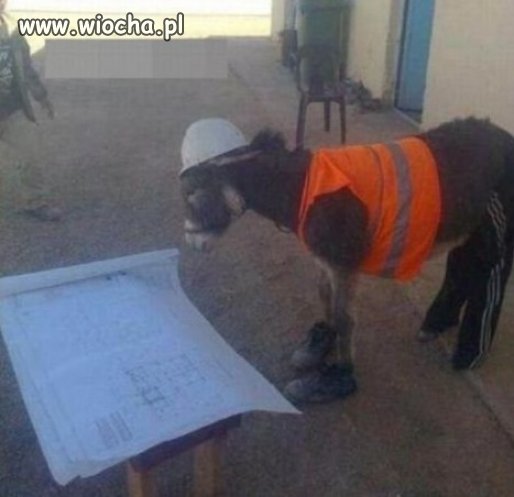 Jak tu dokończyć ta A2?