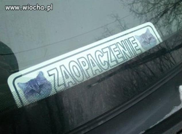 Zaopaczenie kotuf