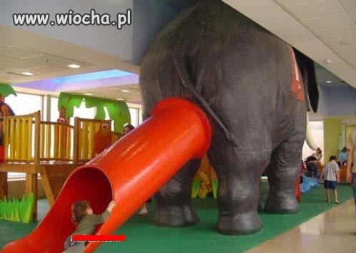 Słoń