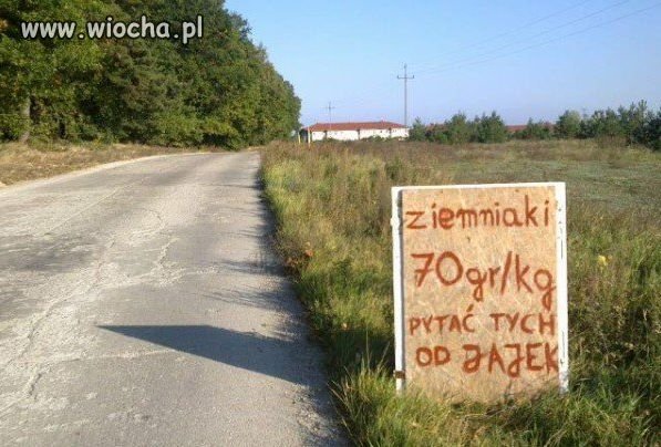 Ogłoszenie...