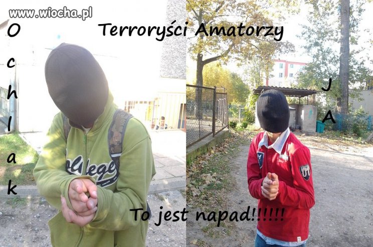 Terroryści amatorzy