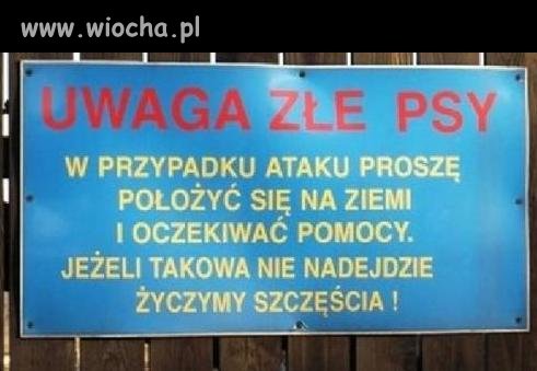 Może się poszczęści i pieskom się znudzi?