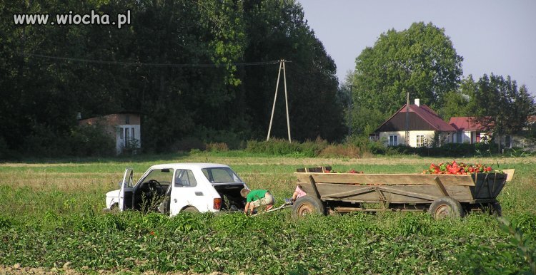 Traktor
