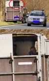 Policja, czy to już nie jest totalna wiocha