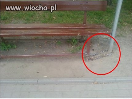 Z serii Polak potrafi...