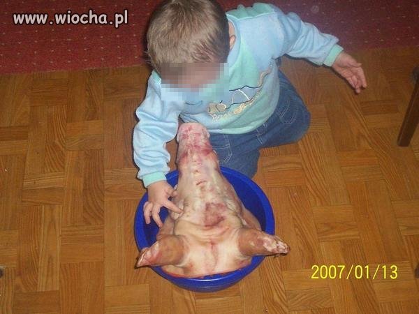 Daj głowę świni dziecku, zrób zdjęcie