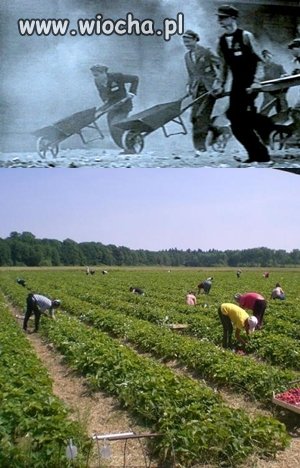 Niemieckie obozy pracy dla Polaków rok 1939 i 2012