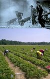 Niemieckie obozy pracy dla Polaków rok 1939 i 2012