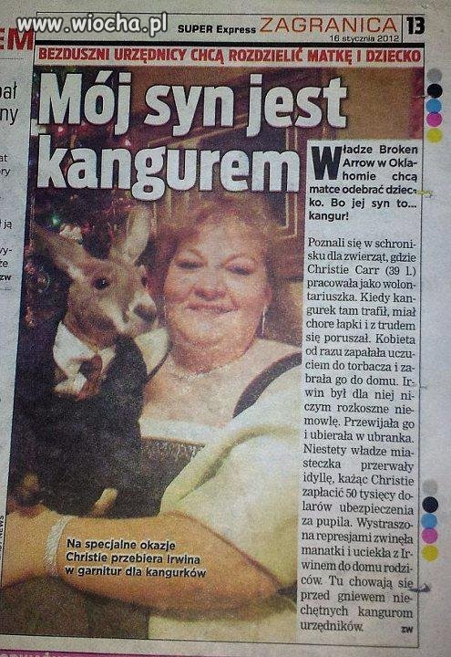 Mój syn jes kangurem 