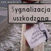 Szczerość 