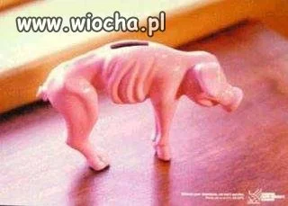 W tych czasach tylko taka nam potrzebna