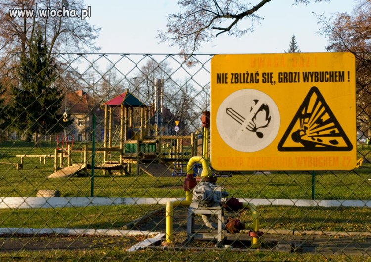 Kolejny przebłysk inteligencji...