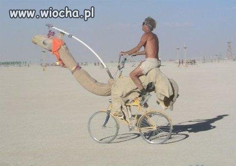 Rower pustynny