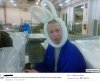 Nawet w pracy się bukują, króliczki są wszędzie 