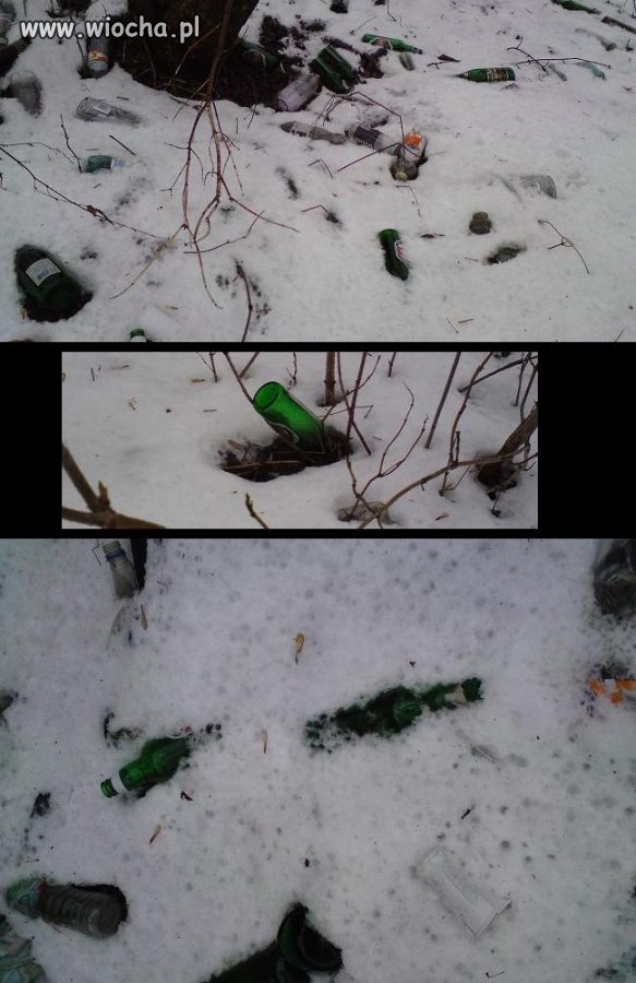 Wiosna idzie na całego