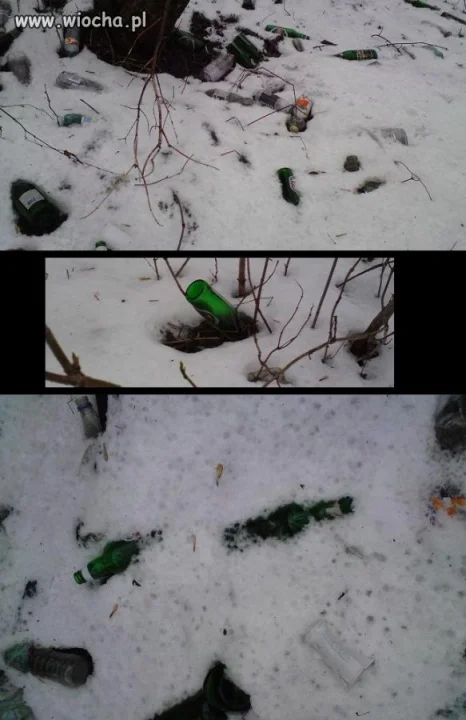 Wiosna idzie na całego