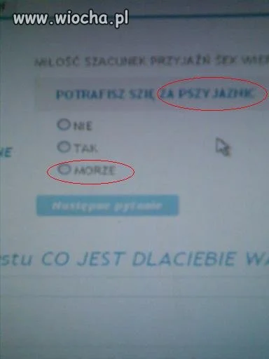 Testy na fotka.pl