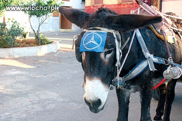 Ale nie AMG