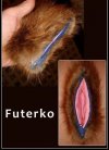 Futerko 