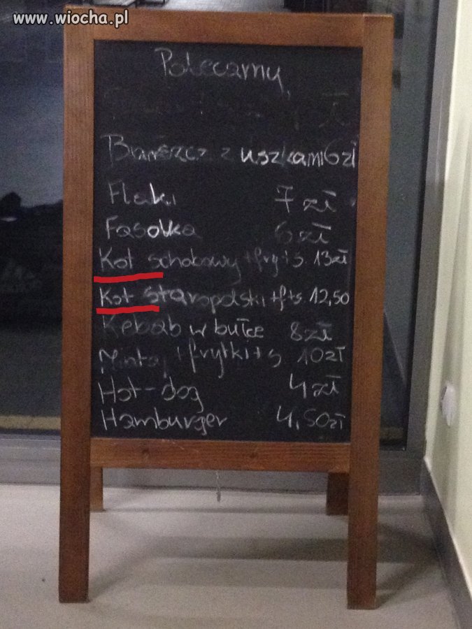 Dworzec PKS Busko Zdrój  poleca ...