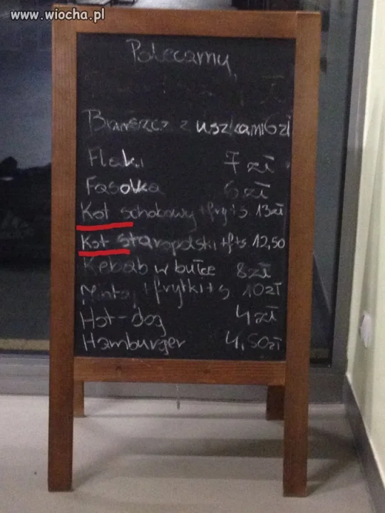 Dworzec PKS Busko Zdrój  poleca ...