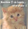 Upss