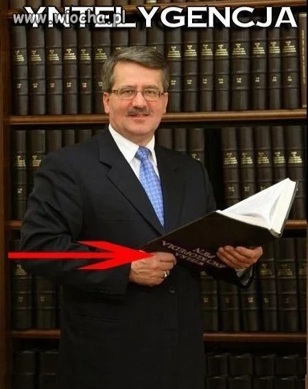 Yntelygencja  