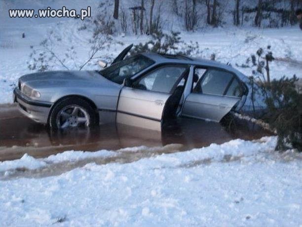 Co sosna robi w aucie?