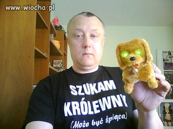 Szukam królewny 