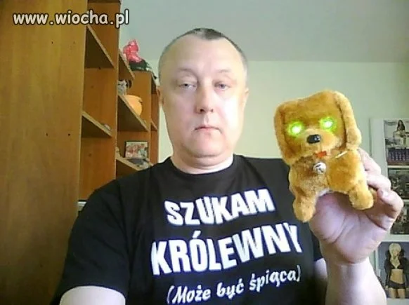 Szukam królewny 
