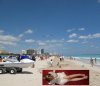 Ja w Miami Beach 